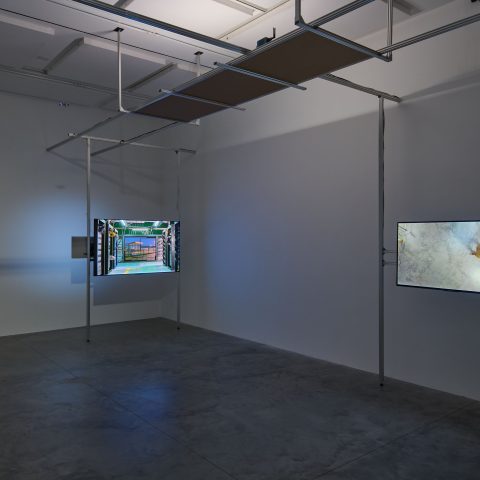 Installation view of Joe Moss Automated Fantasy Procedure at Matt's Gallery