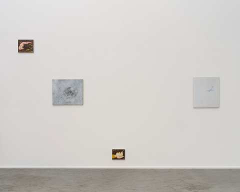 Installation view of Rachel Howard: Harvest at 447 Space, New York, 2026.