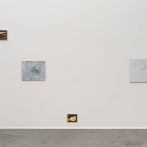 Installation view of Rachel Howard: Harvest at 447 Space, New York, 2026.