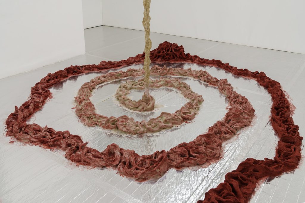 The Word for World is Poem by Ángela Jiménez Durán, installation view at Lehmann, Porto, 2026
