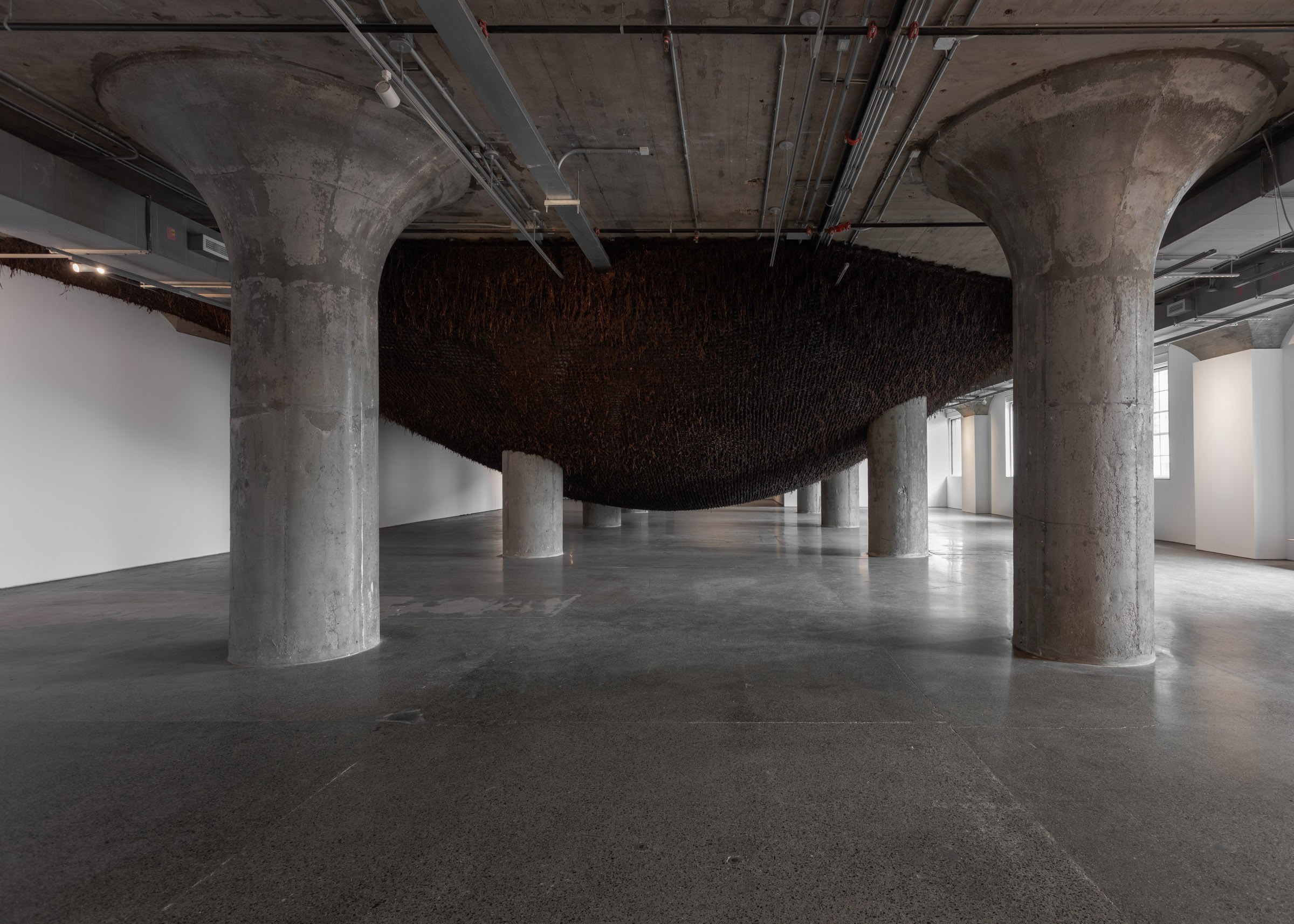 Delcy Morelos, Ombligo, 2026, installation view at MOCA Toronto