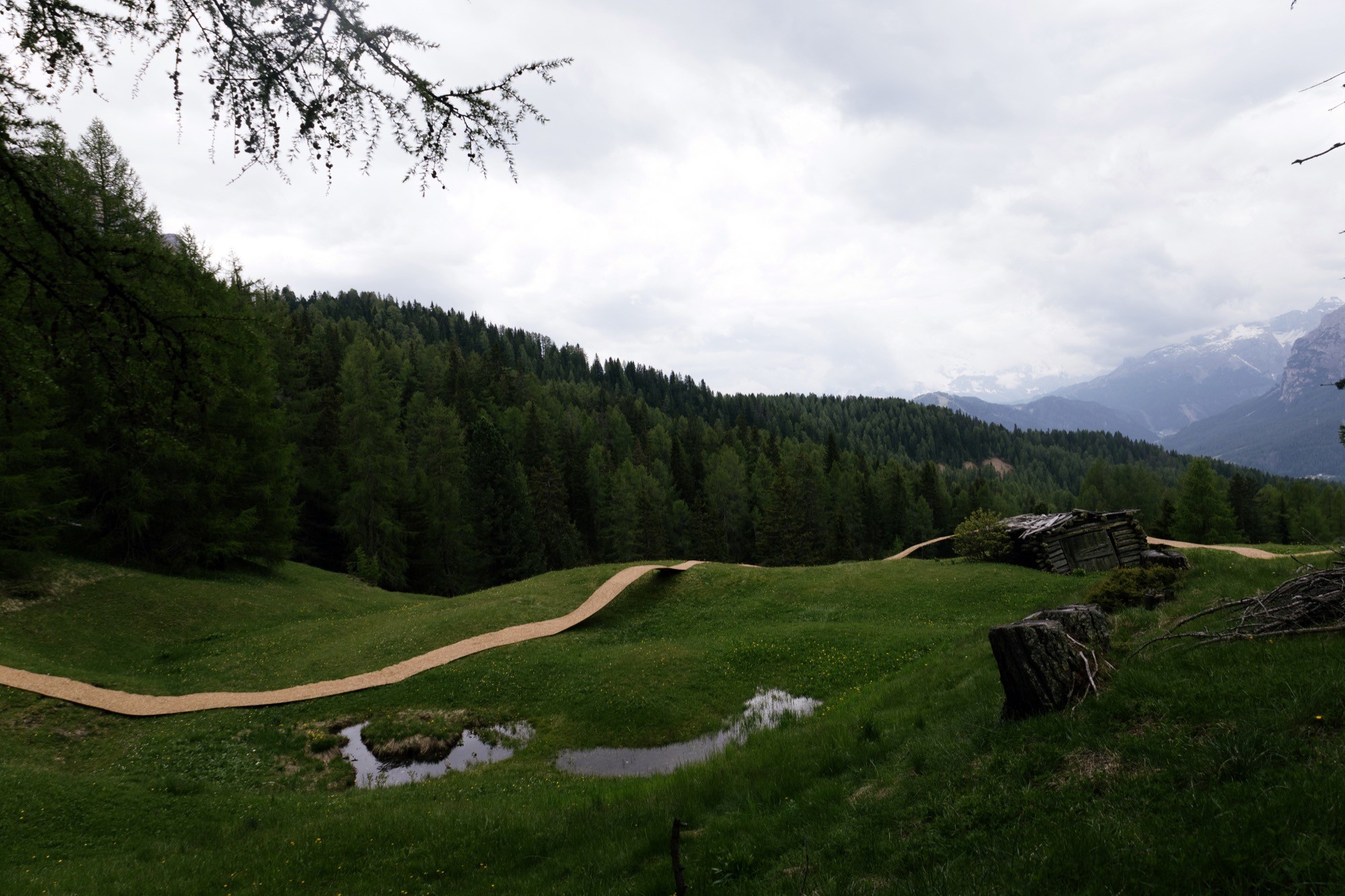 Trace of Land by ELSE, a meandering hay canopy across the Armentara meadows in Val Badia