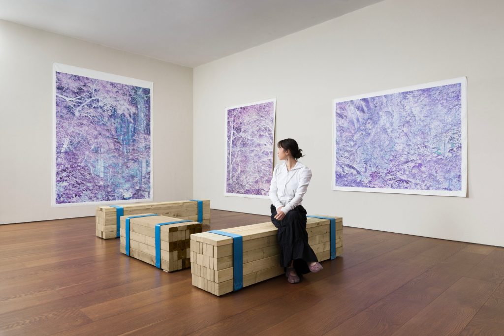 Visitor seated before Justin Brice Guariglia works