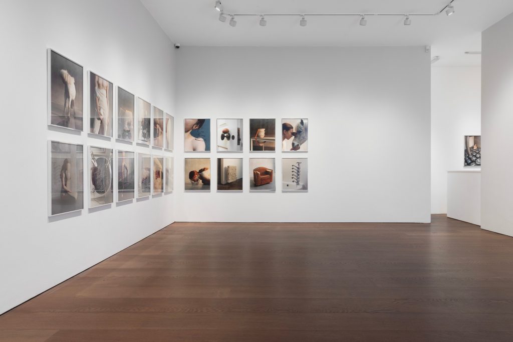 Grid of Lisa Jahovic photographs on a gallery wall