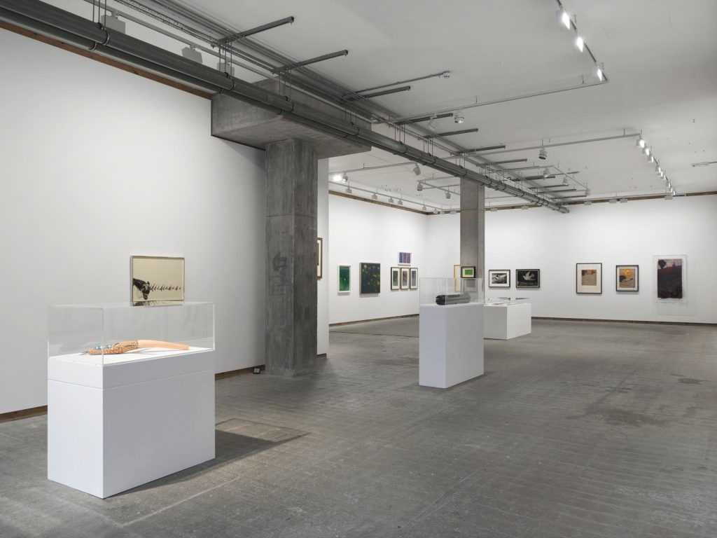 Colin Self, Unseen, installation view at Frith Street Gallery, Golden Square, London