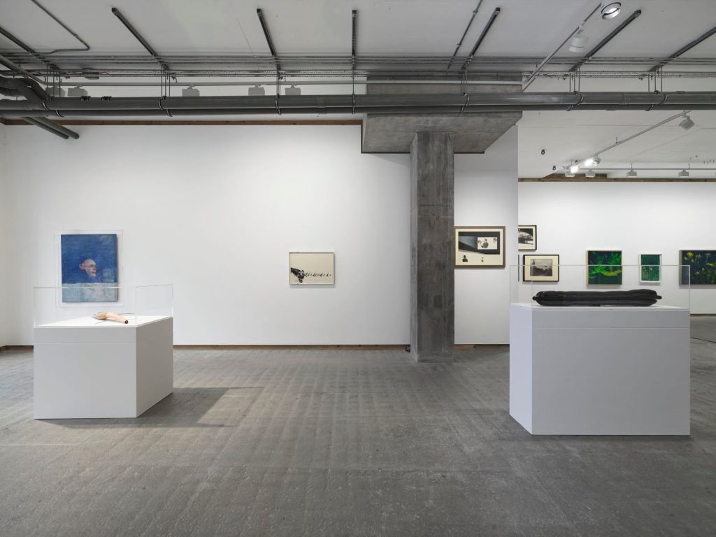 Colin Self, Unseen, installation view at Frith Street Gallery, Golden Square, London