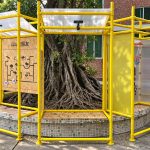 Haogang Ji: yellow scaffolding pavilion around a banyan tree on the former sports ground