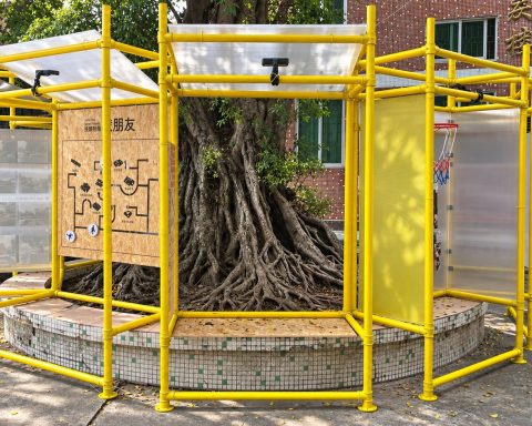 Haogang Ji: yellow scaffolding pavilion around a banyan tree on the former sports ground