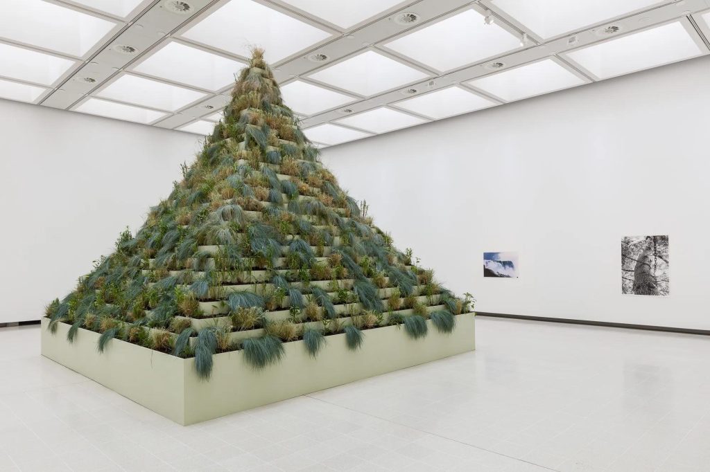 Pyramid of plants by Agnes Denes in a skylit gallery