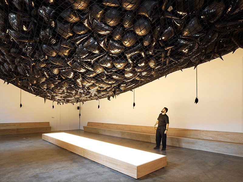 Cargo net and balloons installation by Autumn Knight