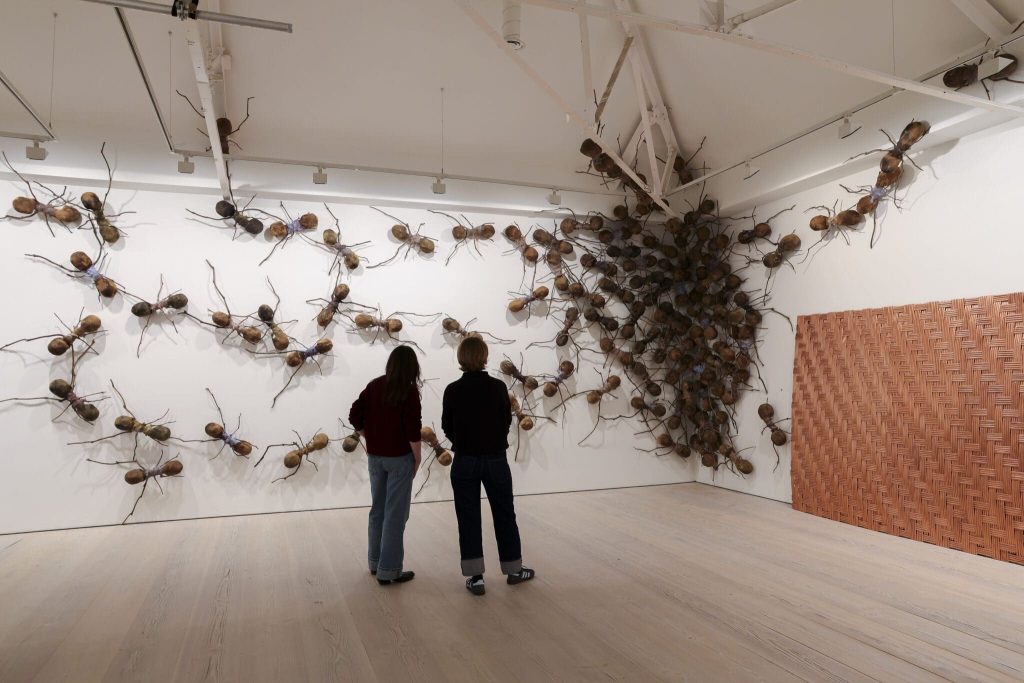 Visitors among sculpted ants on gallery walls