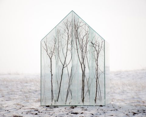 Sándor Körei’s It Will Never Snow Again, a glass house-like structure divided into cells holding tree branches