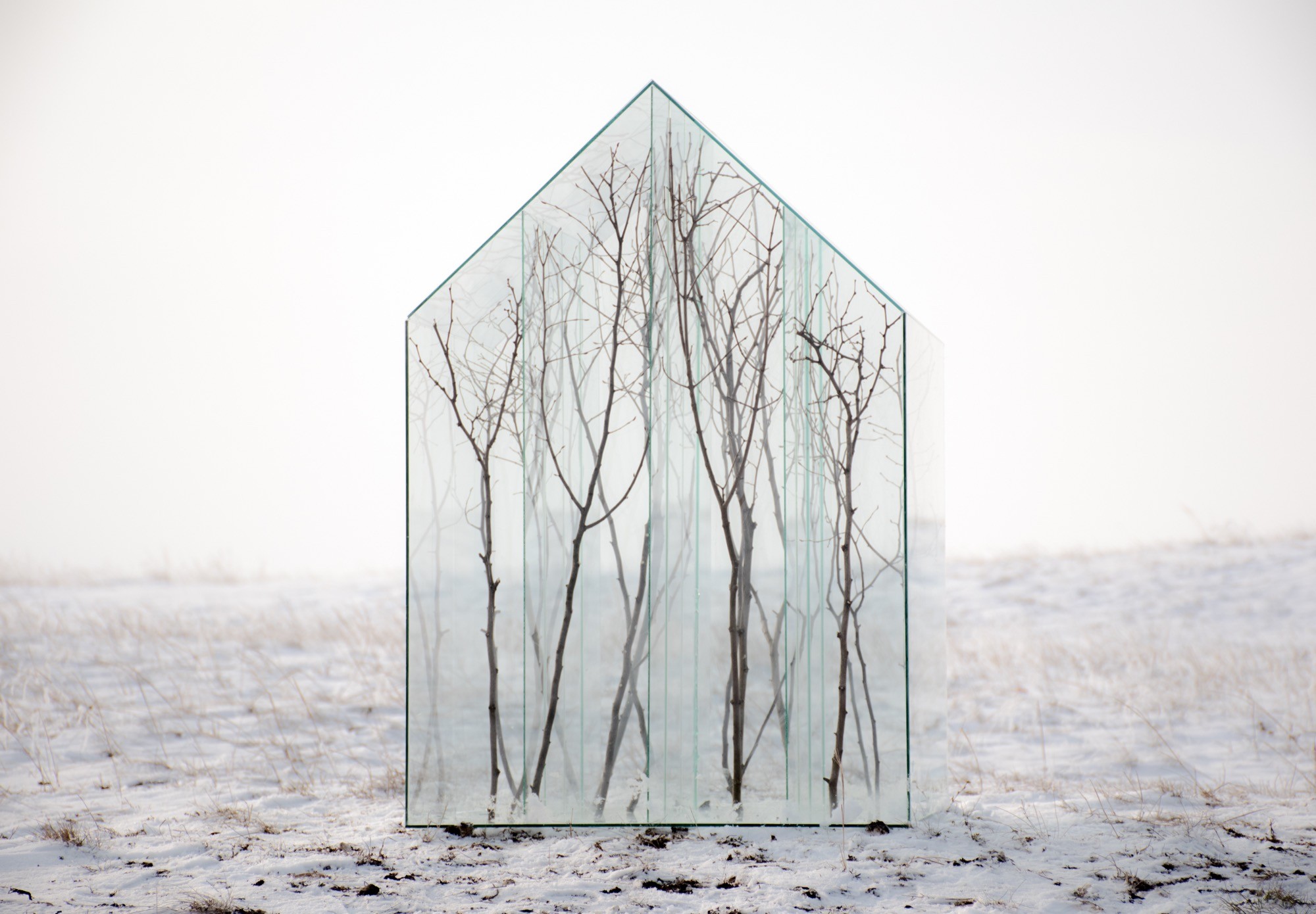 Sándor Körei’s It Will Never Snow Again, a glass house-like structure divided into cells holding tree branches