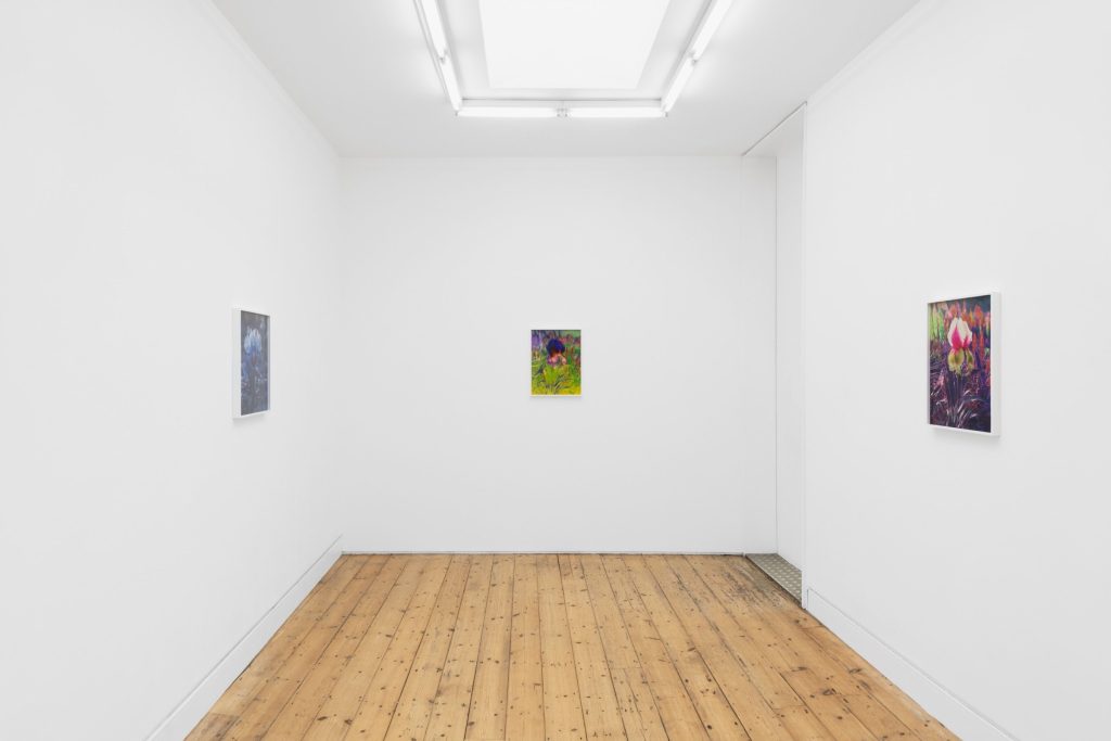 Lisa Oppenheim, Portraits/Hybrids, installation view in The Annexe