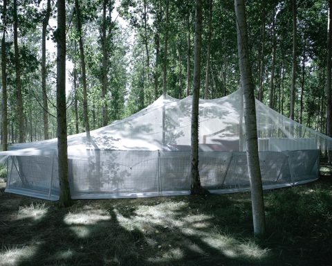 Roof as a Screen, a scaffolding mesh canopy suspended in a poplar plantation