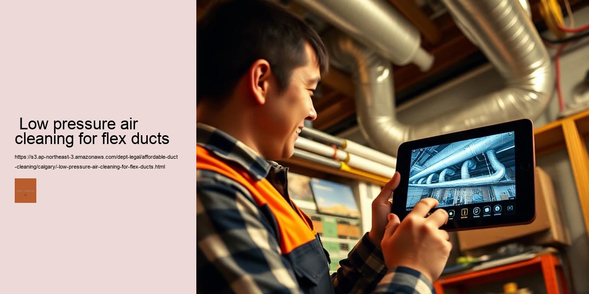  Low pressure air cleaning for flex ducts
