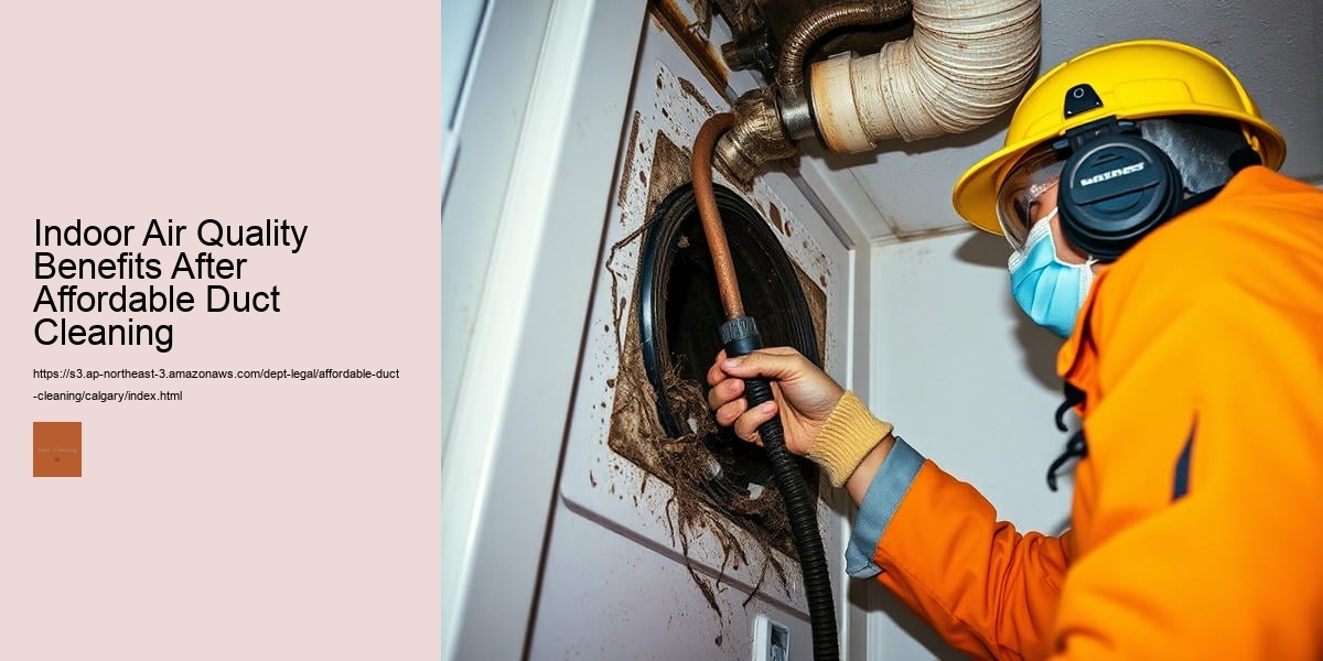 Indoor Air Quality Benefits After Affordable Duct Cleaning