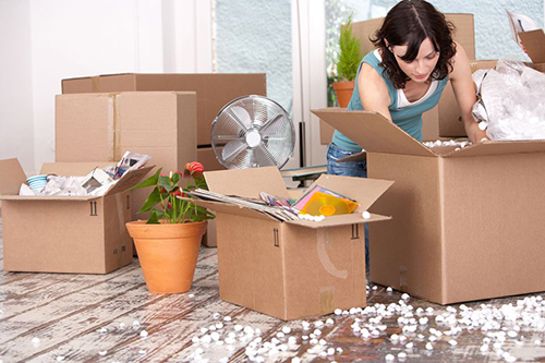 ích lợi khi tiêu dùng cỗ áo carton cũ - giá tiền phải chăng